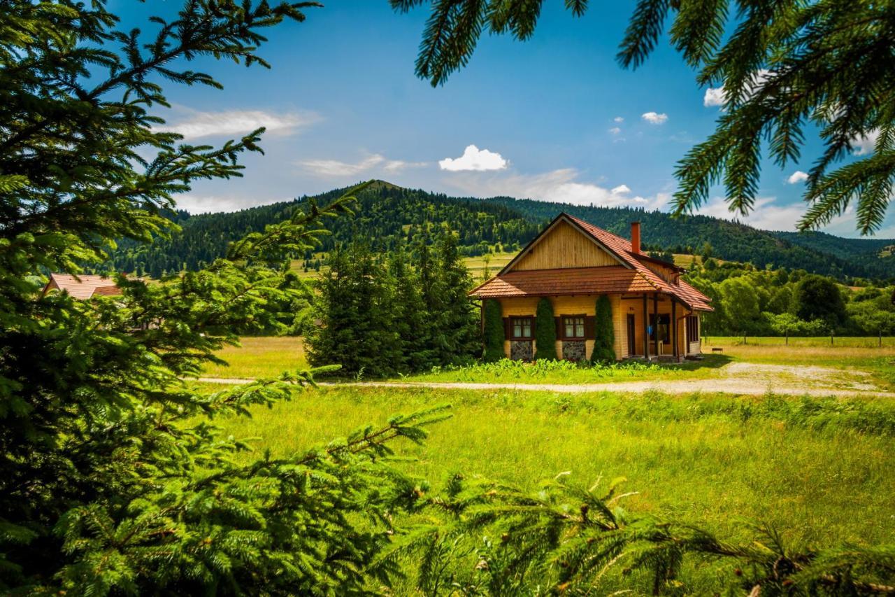 Pensiunea Sapte Flori Gheorgheni  Exterior foto