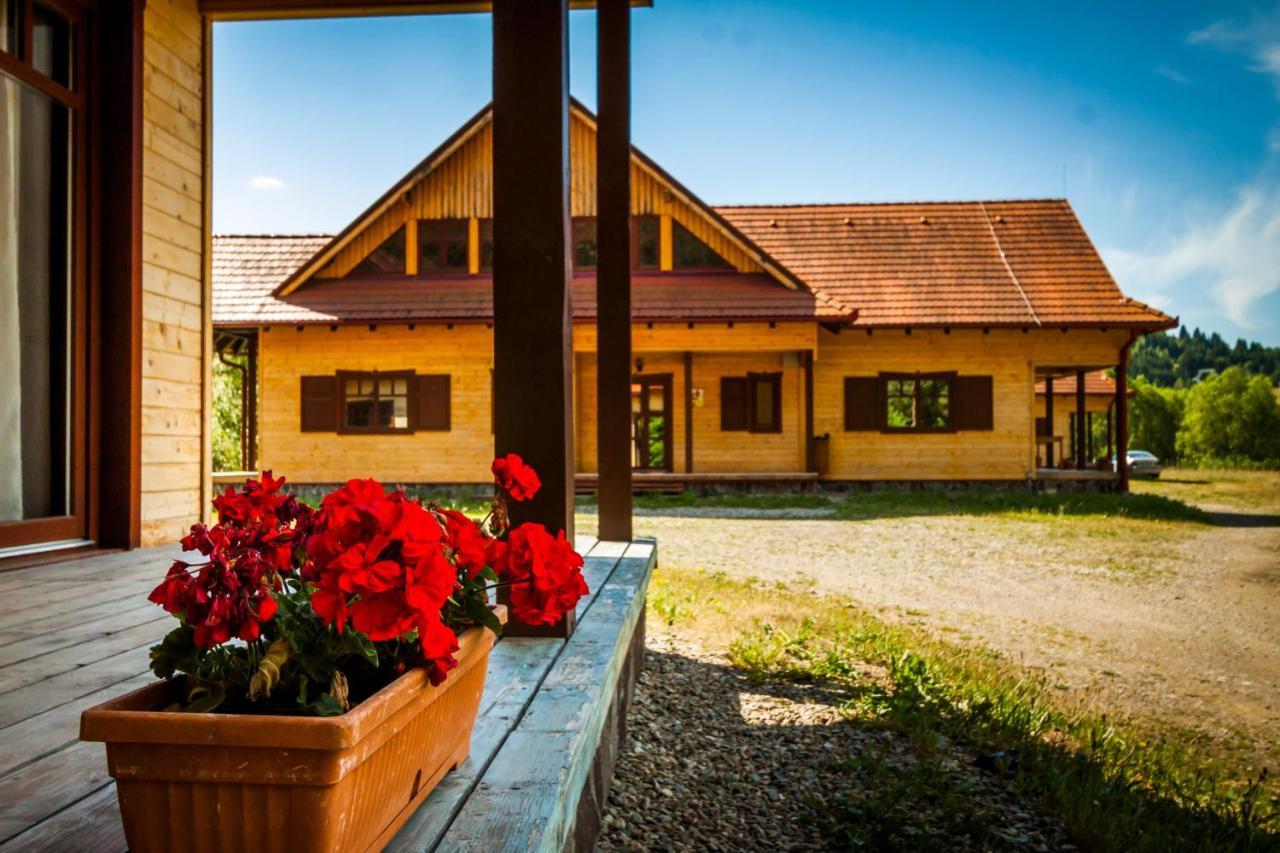Pensiunea Sapte Flori Gheorgheni  Exterior foto