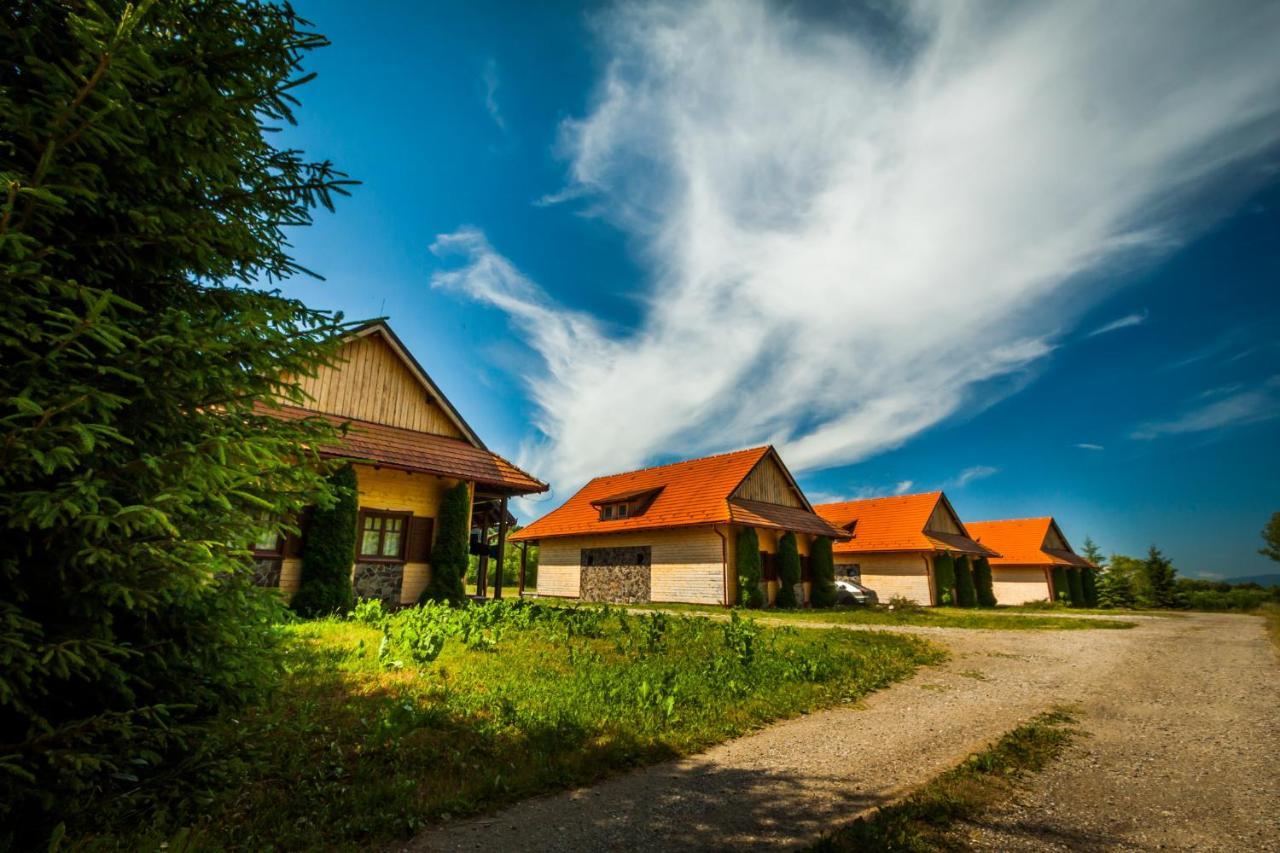 Pensiunea Sapte Flori Gheorgheni  Exterior foto