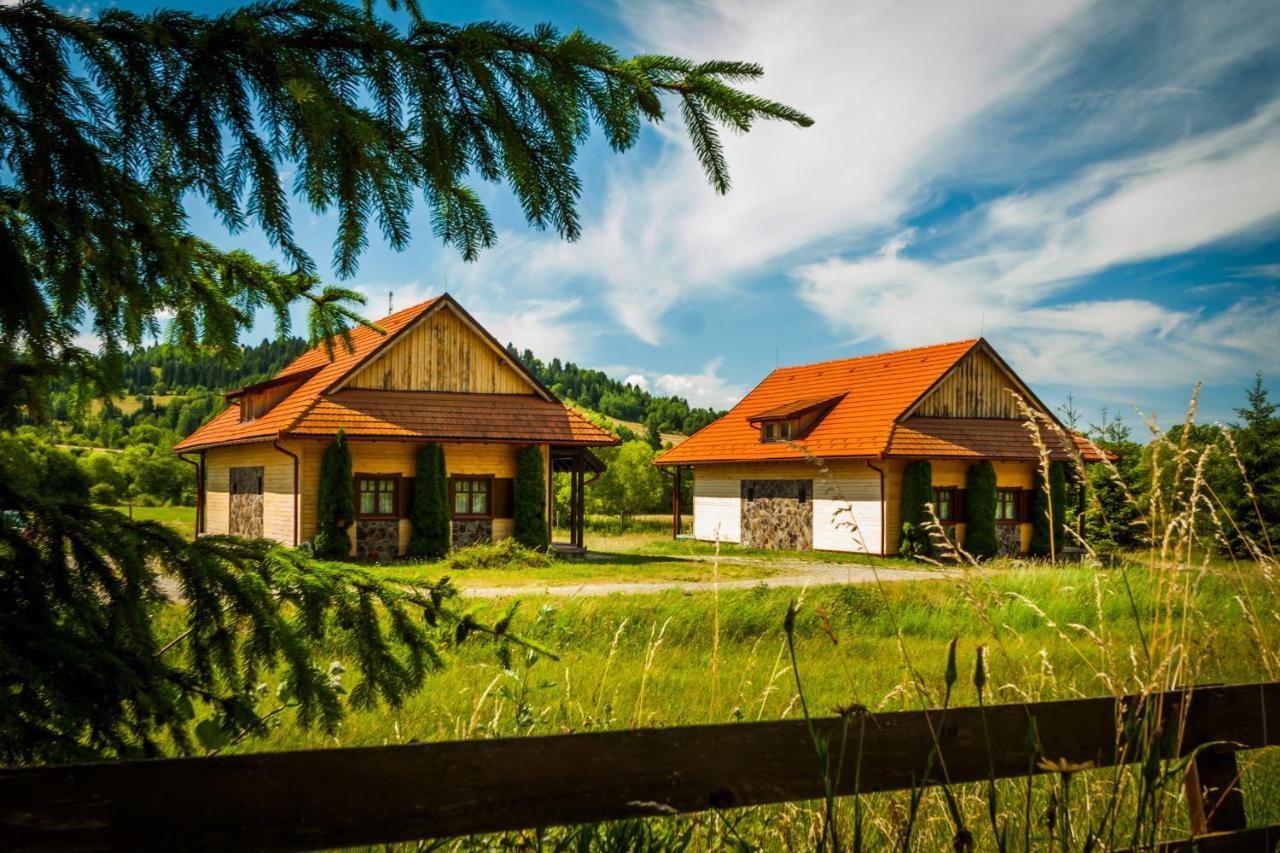 Pensiunea Sapte Flori Gheorgheni  Exterior foto